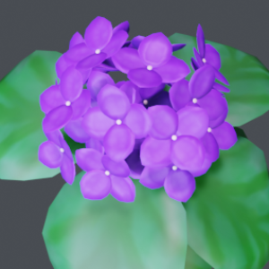紫陽花紫